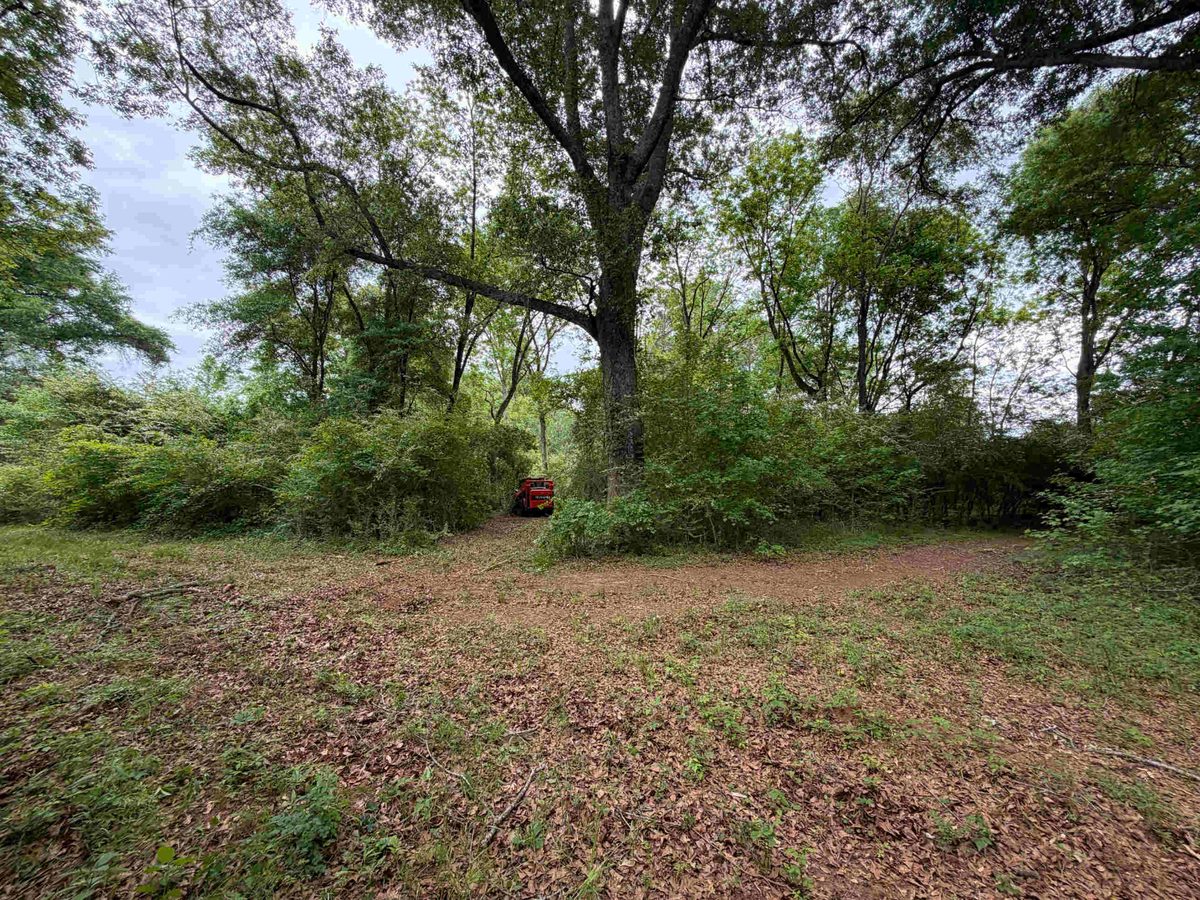 Before — Job 1