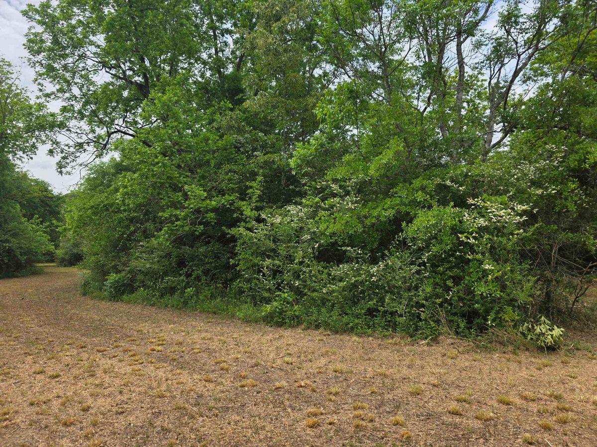 Before — Job 3