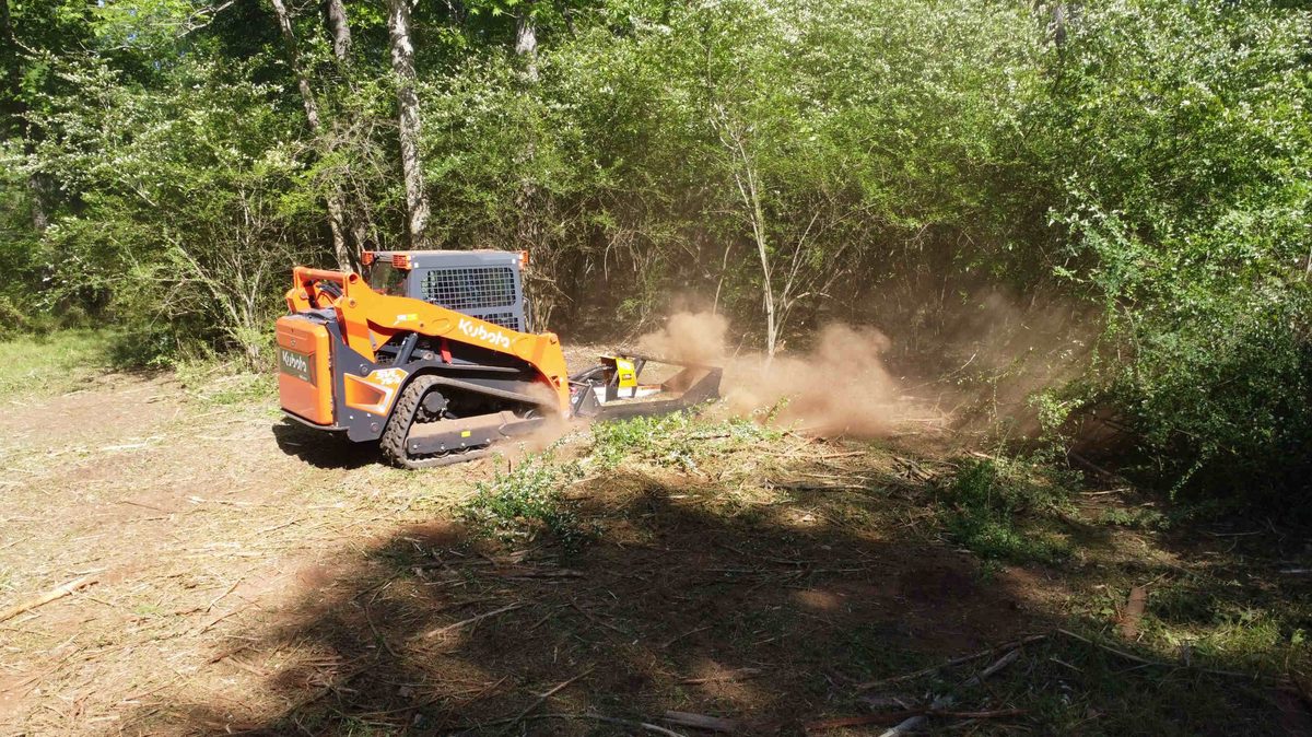 Brush Removal