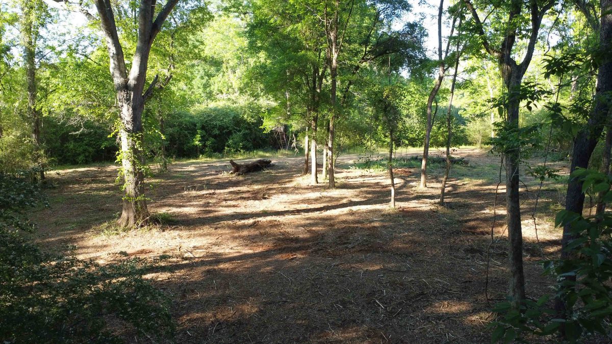 Property Cleanup