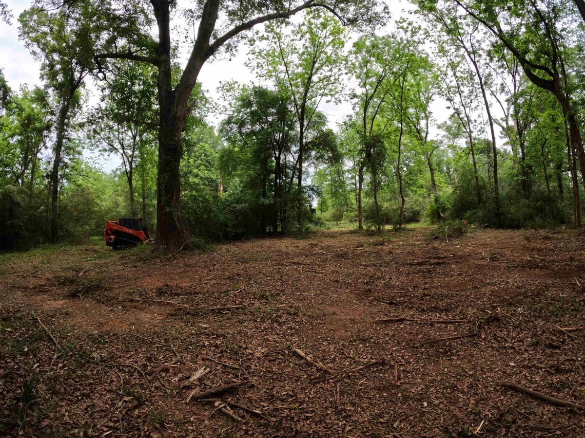 Forestry Mulching